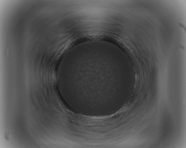 X0000091730048200708311212