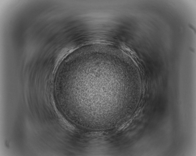 X0000091730049200708311211