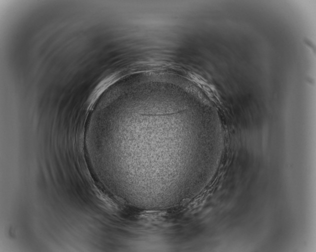 X0000091730051200708311211