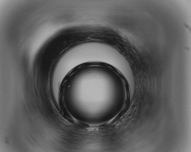 X0000091730052200708311211