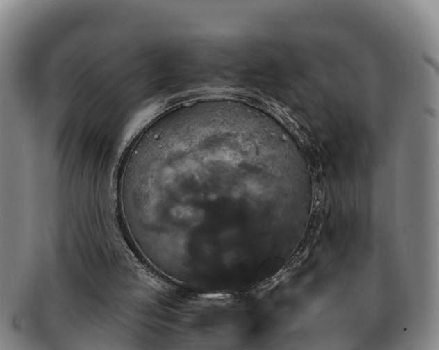 X0000091730053200708311211