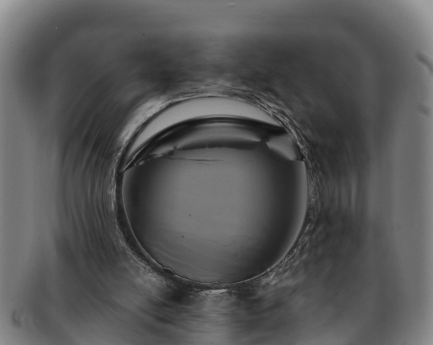 X0000091730054200708311211