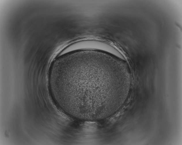 X0000091730055200708311211