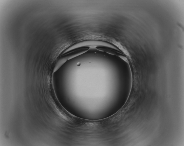 X0000091730057200708311211