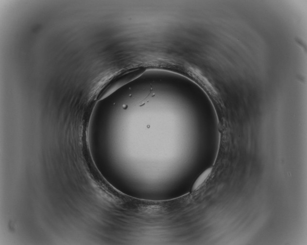 X0000091730058200708311211