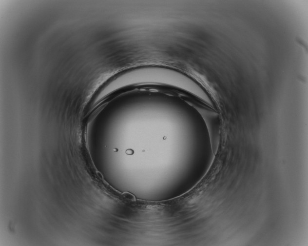 X0000091730060200708311211