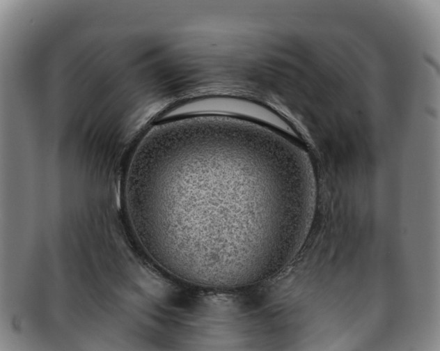 X0000091730062200708311211