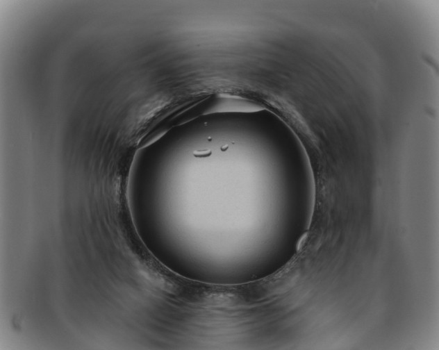 X0000091730066200708311211