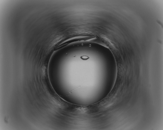 X0000091730071200708311211