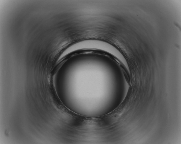 X0000091730072200708311211