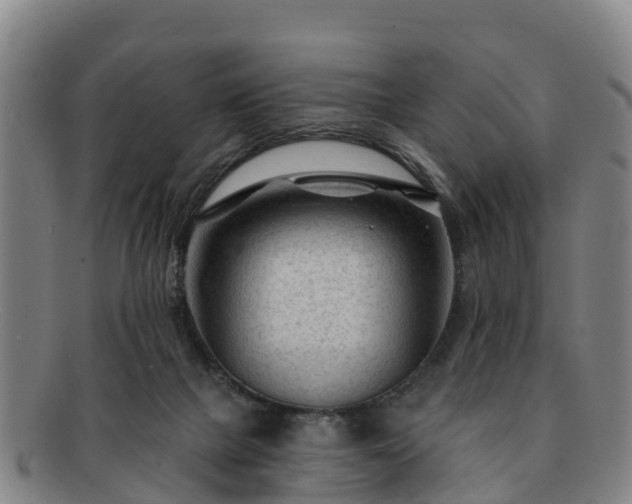 X0000091730073200708311211