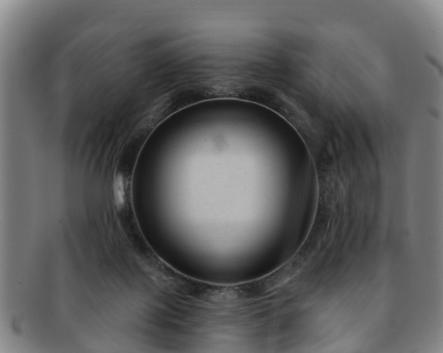 X0000091730075200708311211