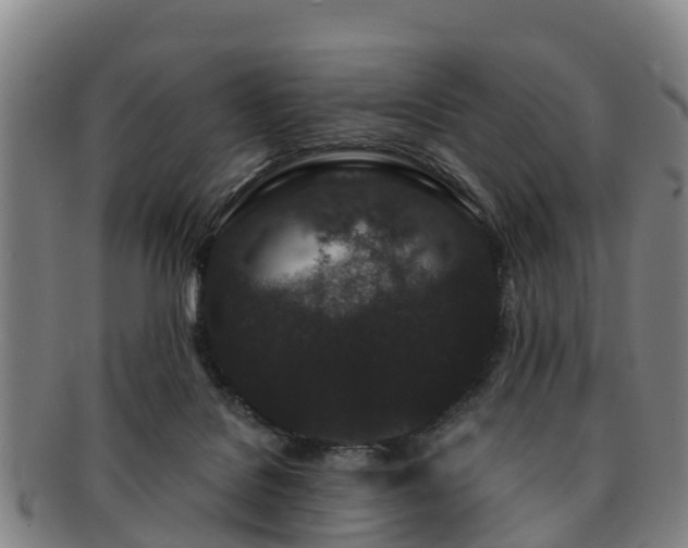 X0000091730076200708311211