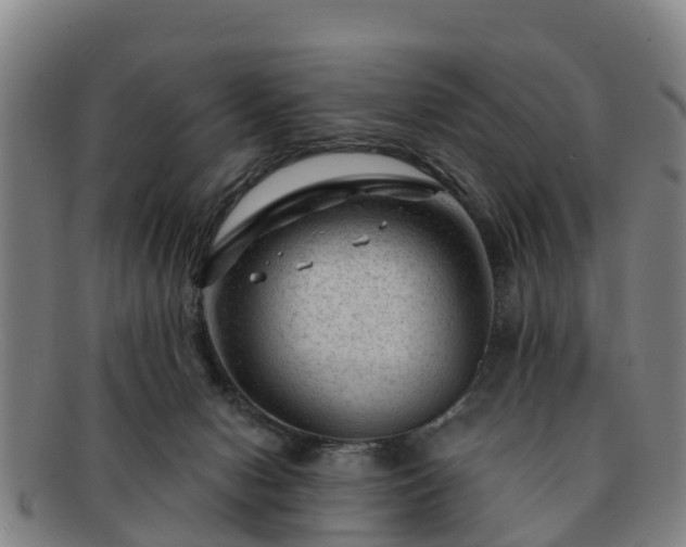 X0000091730078200708311212