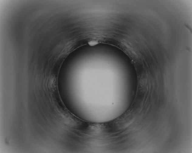 X0000091730079200708311212