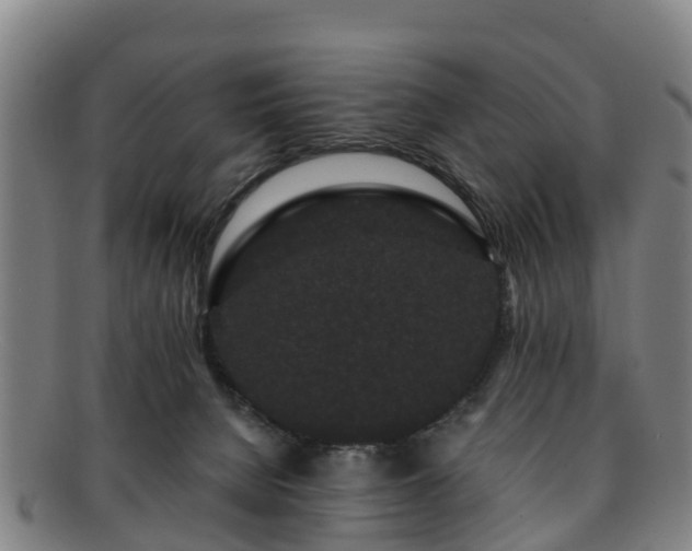 X0000091730080200708311212