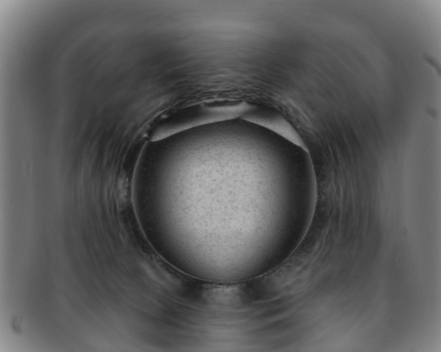 X0000091730081200708311212