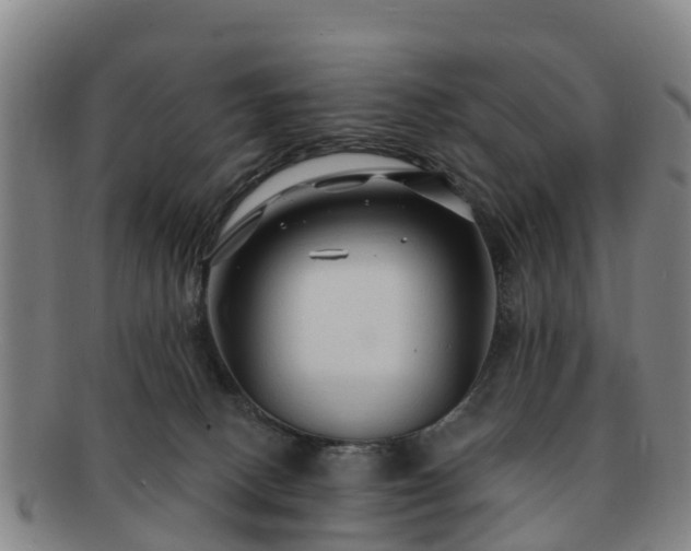 X0000091730082200708311212