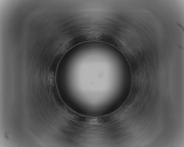 X0000091730083200708311212