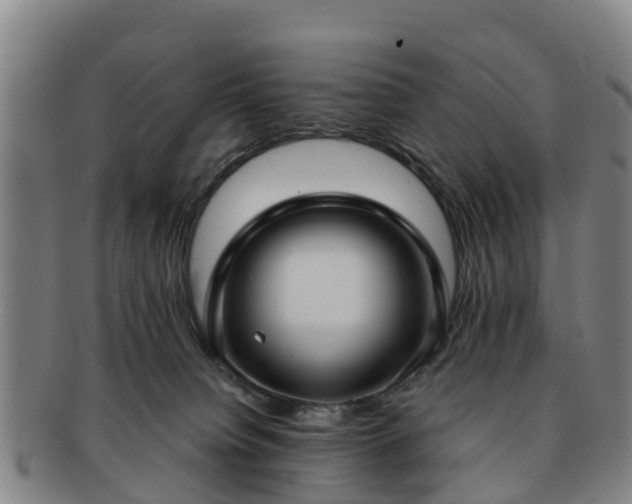 X0000091730084200708311212