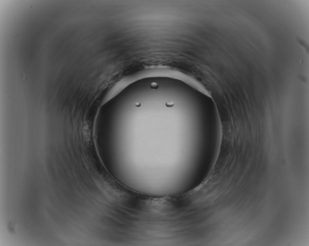 X0000091730086200708311212