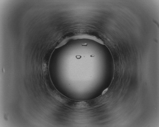 X0000091730087200708311212