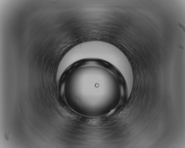 X0000091730088200708311212