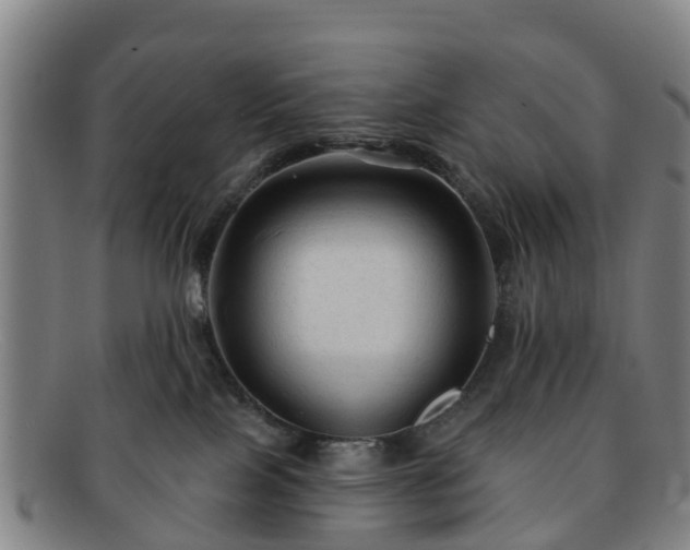 X0000091730089200708311212