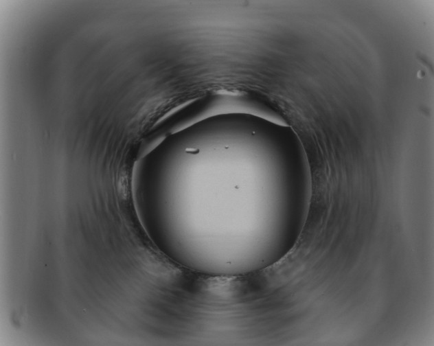 X0000091730090200708311212