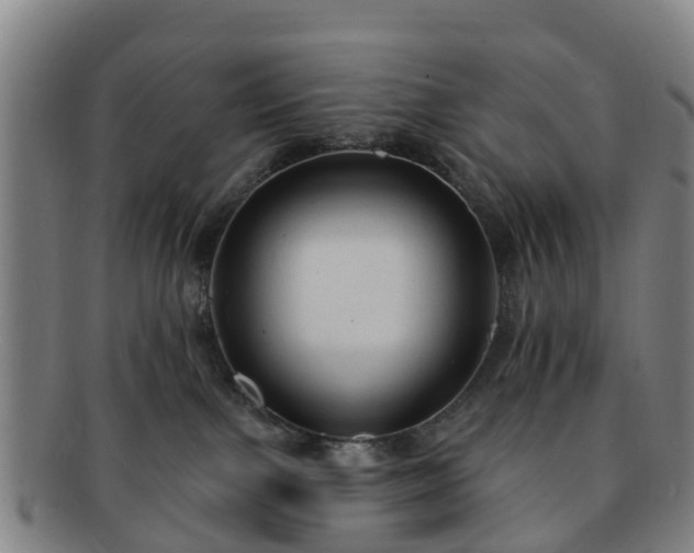 X0000091730091200708311212