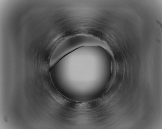 X0000091730092200708311212