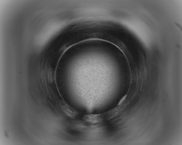 X0000091730093200708311212