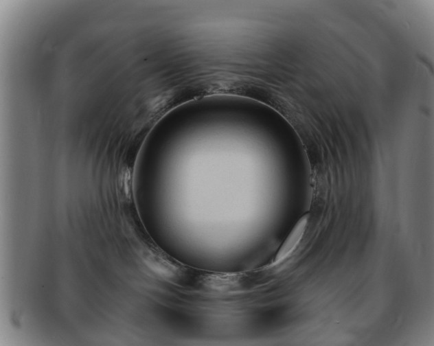 X0000091730094200708311212