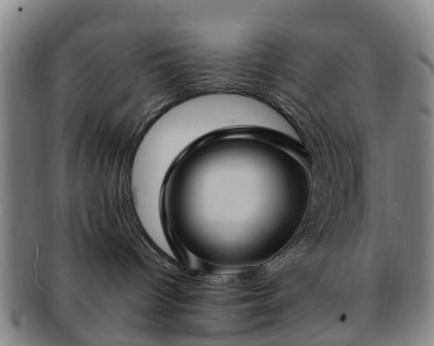 X0000091730096200708311212