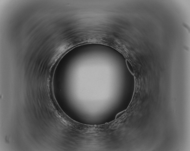 X0000091730098200708311211