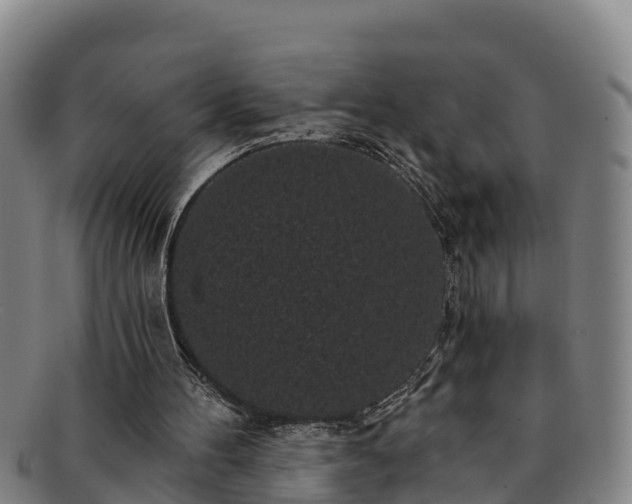 X0000091730100200708311211