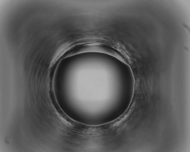 X0000091730101200708311211