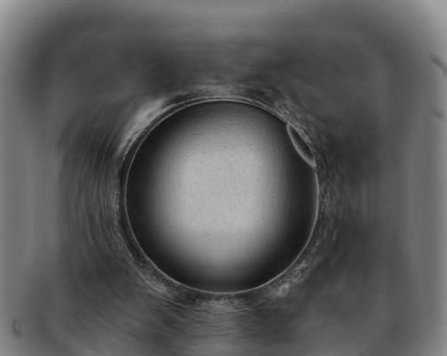 X0000091730103200708311211