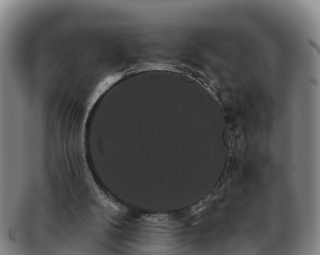 X0000091730104200708311211