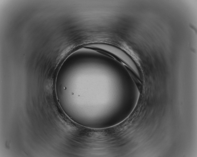 X0000091730107200708311211