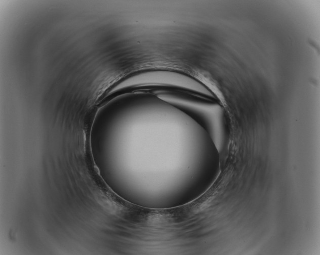 X0000091730109200708311211