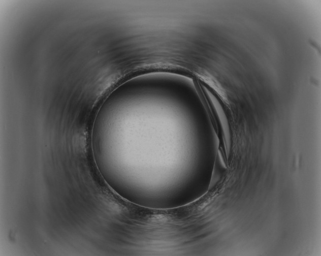 X0000091730111200708311211