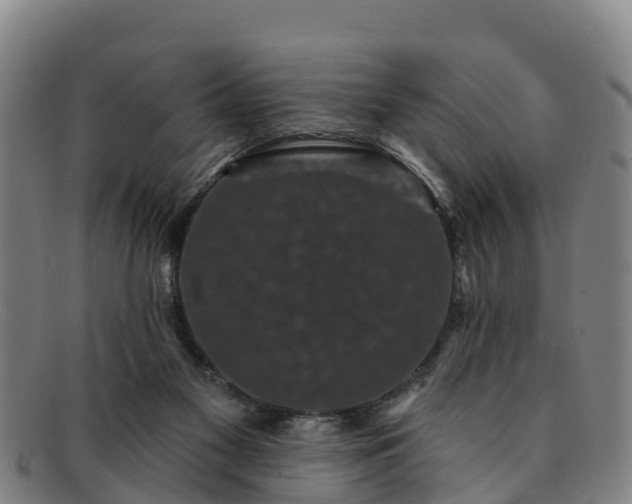 X0000091730117200708311211