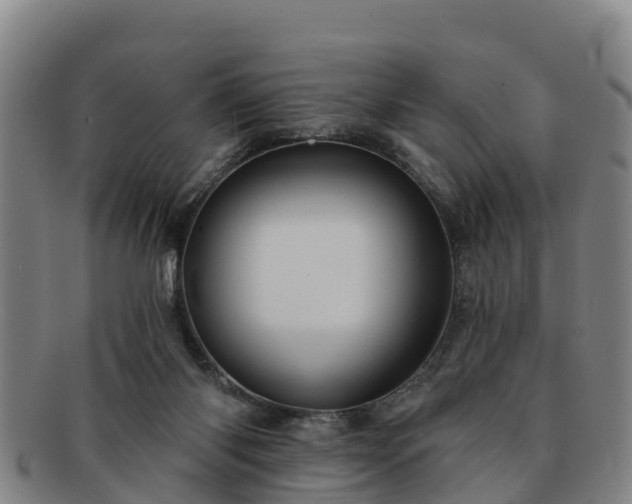 X0000091730118200708311211