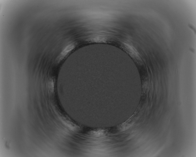 X0000091730120200708311211