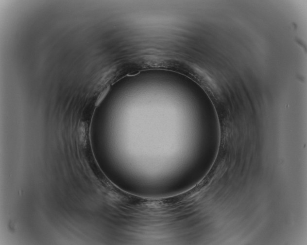 X0000091730121200708311211