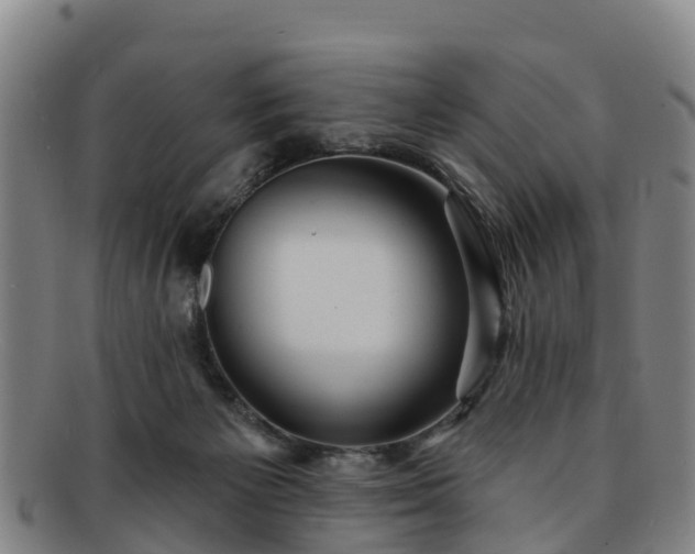 X0000091730125200708311211