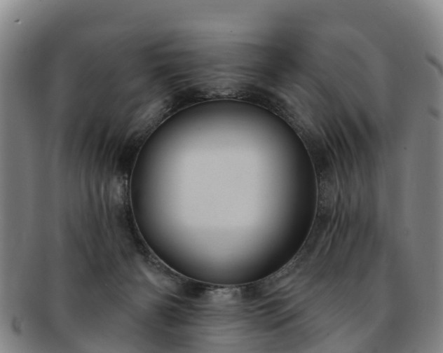 X0000091730126200708311211