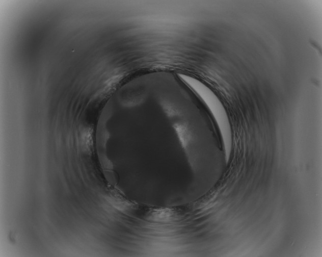 X0000091730127200708311211