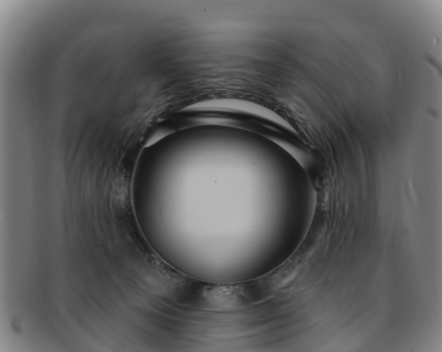 X0000091730129200708311211